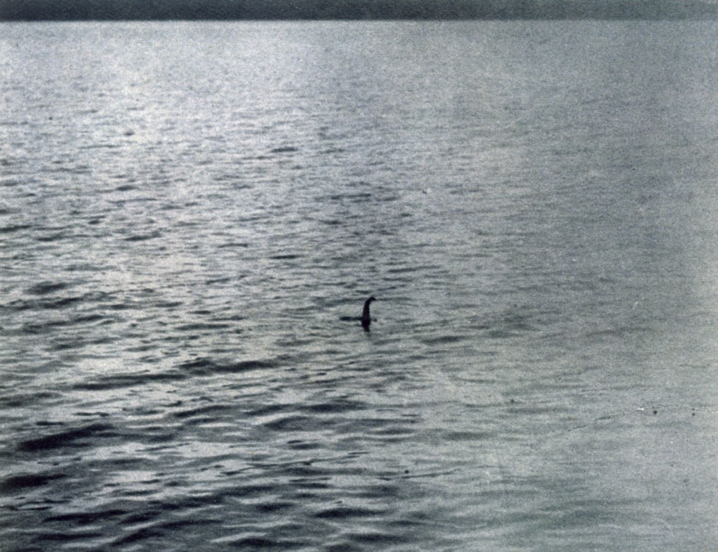 Kõige kuulsam foto väidetavast Loch Nessi koletisest, mille tegi 19. aprillil 1934 London günekoloog Robert Kenneth Wilson