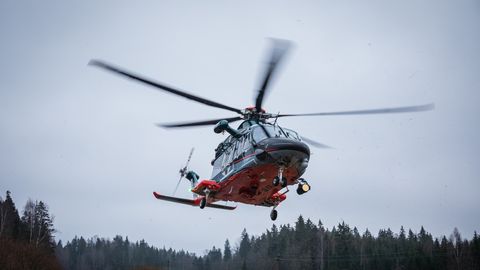 Полиция при помощи вертолета нашла заблудившуюся в лесу Куусалу женщину
