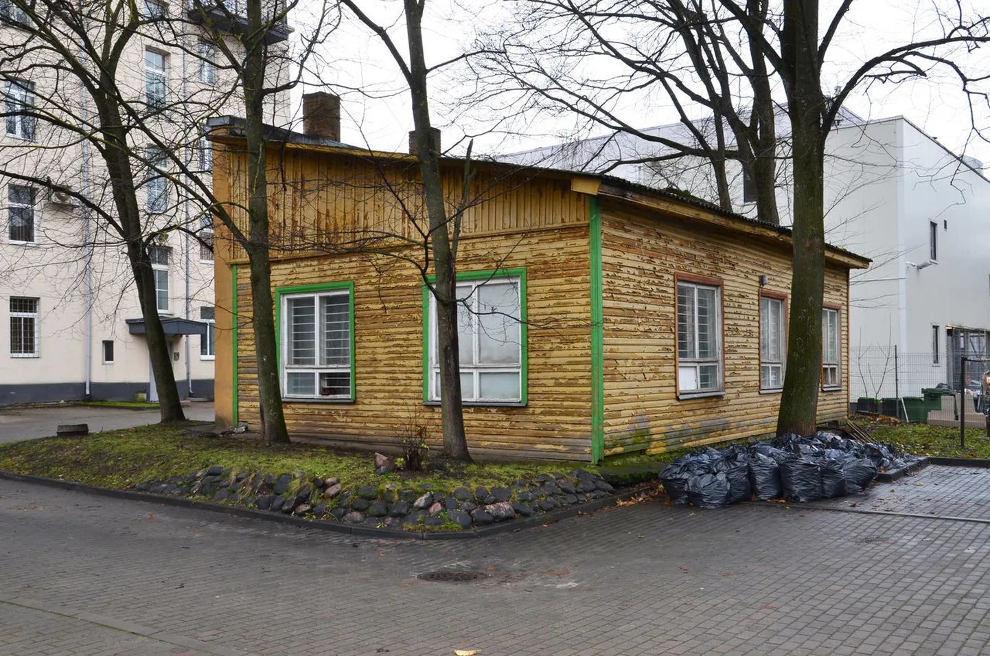 Фото статьи