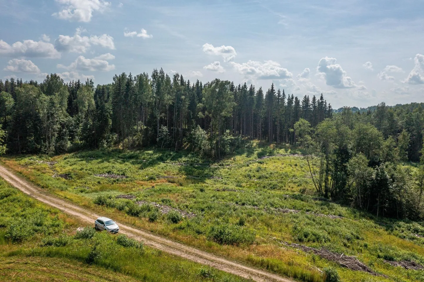 RMK lageraie riivas kaitsealuste liikide elupaiku Otepää looduspargis Natura 2000 alal.