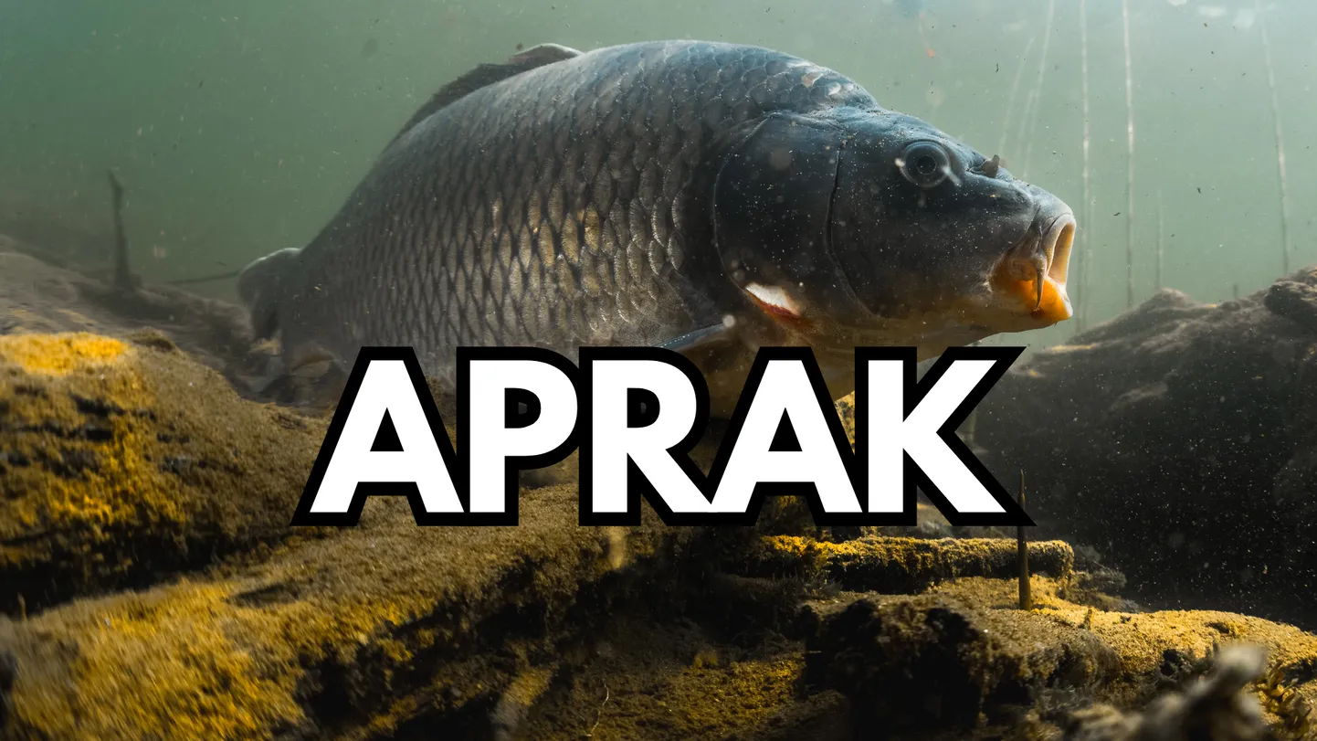 Raksta foto