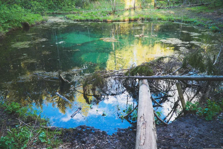 Saula Siniallikad Saula Siniallikad