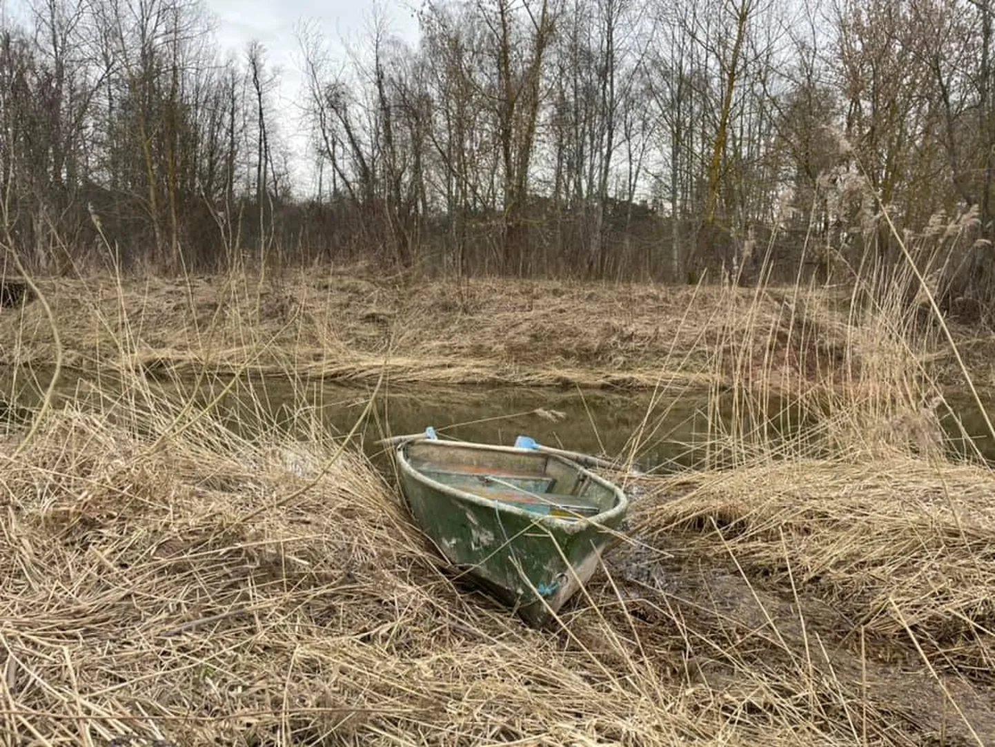 Raksta foto