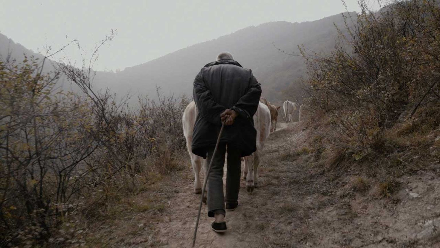Jiang Jin īsfilma "Viena diena" (One Day)