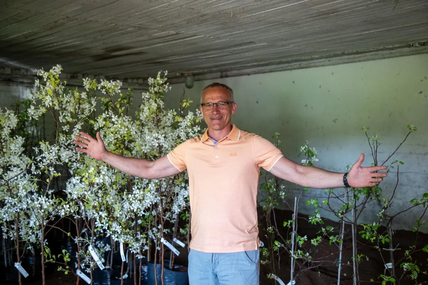 Tootmisjuht Priit Pramann näitas, et leiunurgas on inimestel müügipäevadel valida suure hulga istikute vahel, millest enamiku moodustavad õuna- ja pirnipuud.