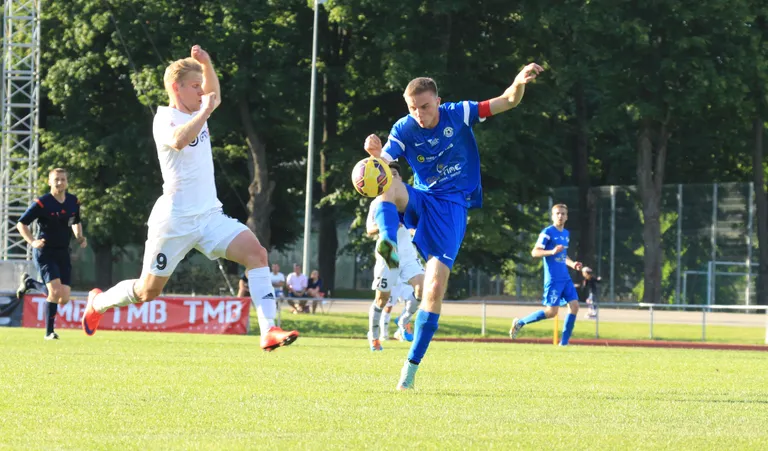 Tammekal on jätkuvalt selg vastu seina. FOTO: