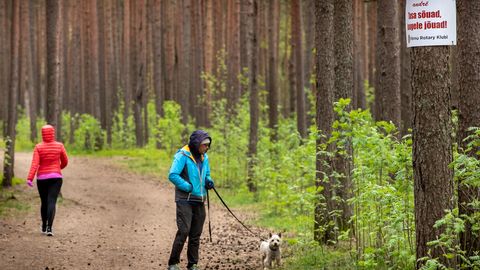 Reiu-Raeküla terviserad. Reiu-Raeküla terviserad.