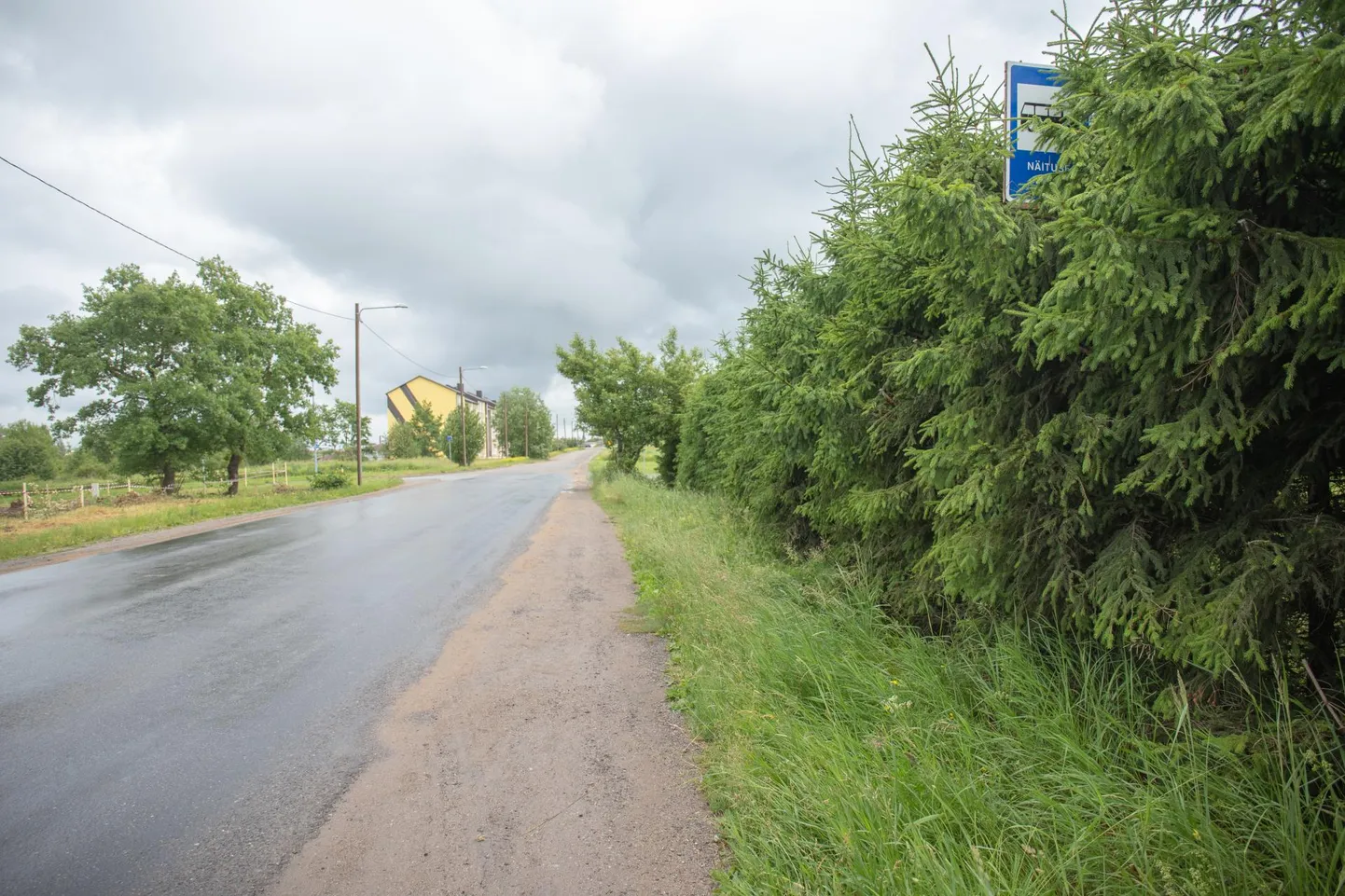 Papiaru tee ja Näituse tänava ristmikul on üks bussipeatuse tähis lootusetult võssa kadunud.