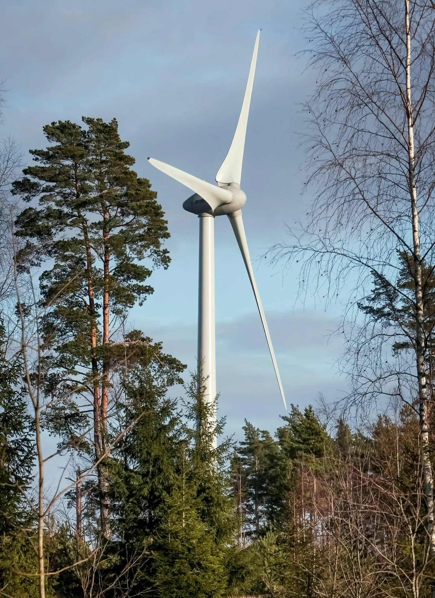 Kamali ja Tõlla külla kerkib kokku üheksa tuugenit.