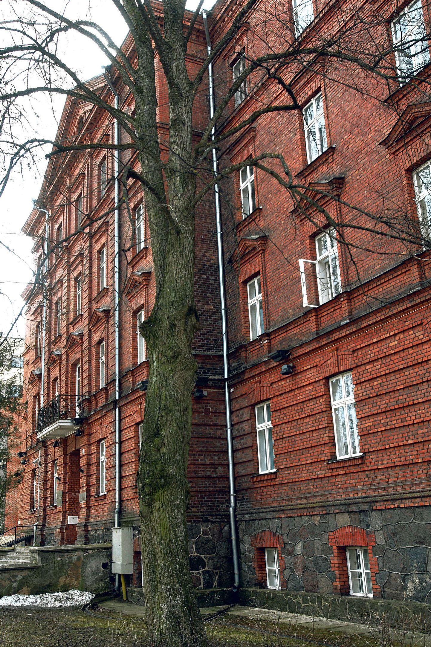 Aastatel 1902–1904 arhitekt Reinhold Guleke projekti järgi Toomemäe-tagusele nõlvale ehitatud ülikooli esimene ühiselamu, praegune Eesti Ajalooarhiivi hoone (Liivi t 4).