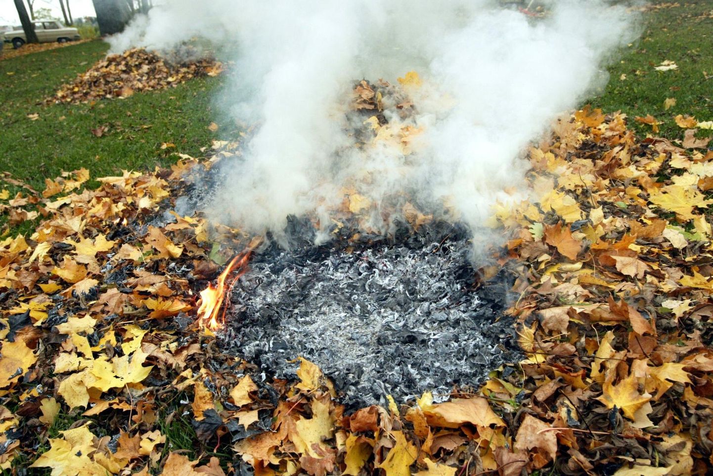 Lehtede ja okste põletamisel tekkiv suits häirib naabreid ja kahjustab tervist.
 