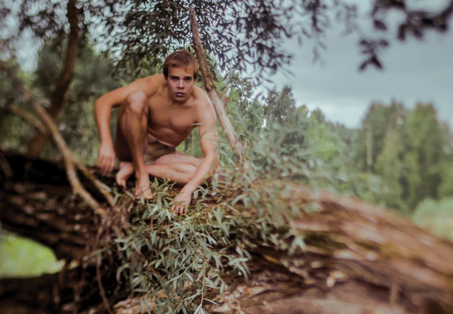 Mowgli osas on Karel Targo.