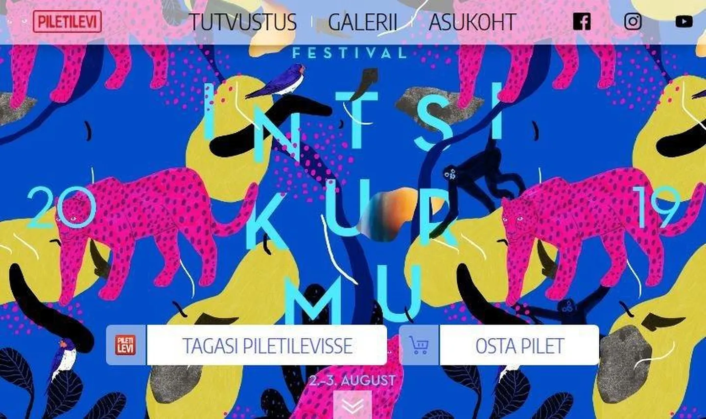 Piletilevi tehtud näidispakkumine Intsikurmu festivali piletimüügiks.