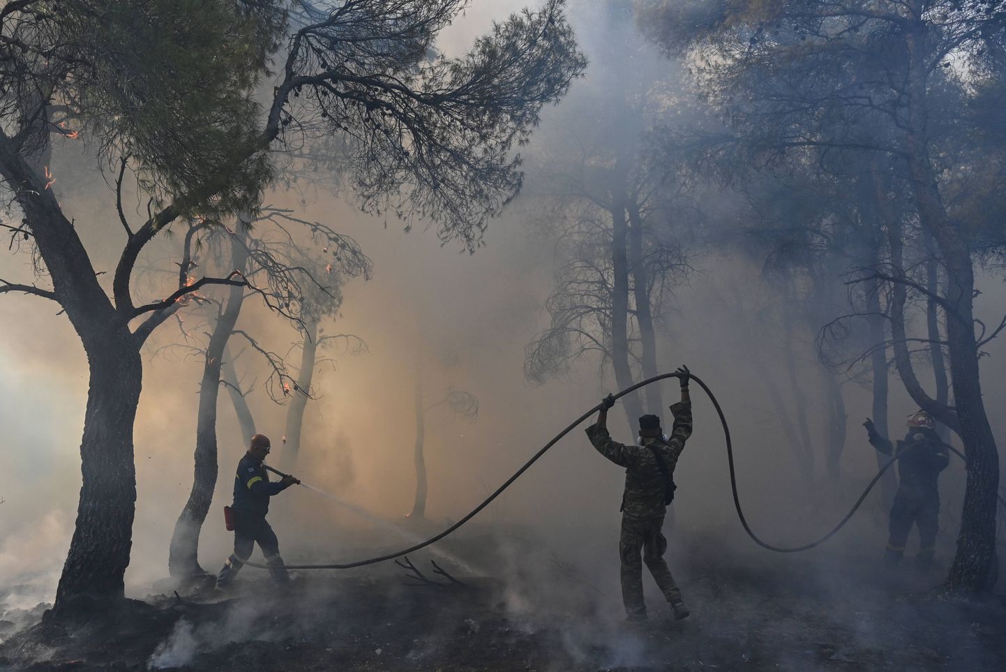 Tuletõrjujad Parnithas maastikupõlengut kustutamas.