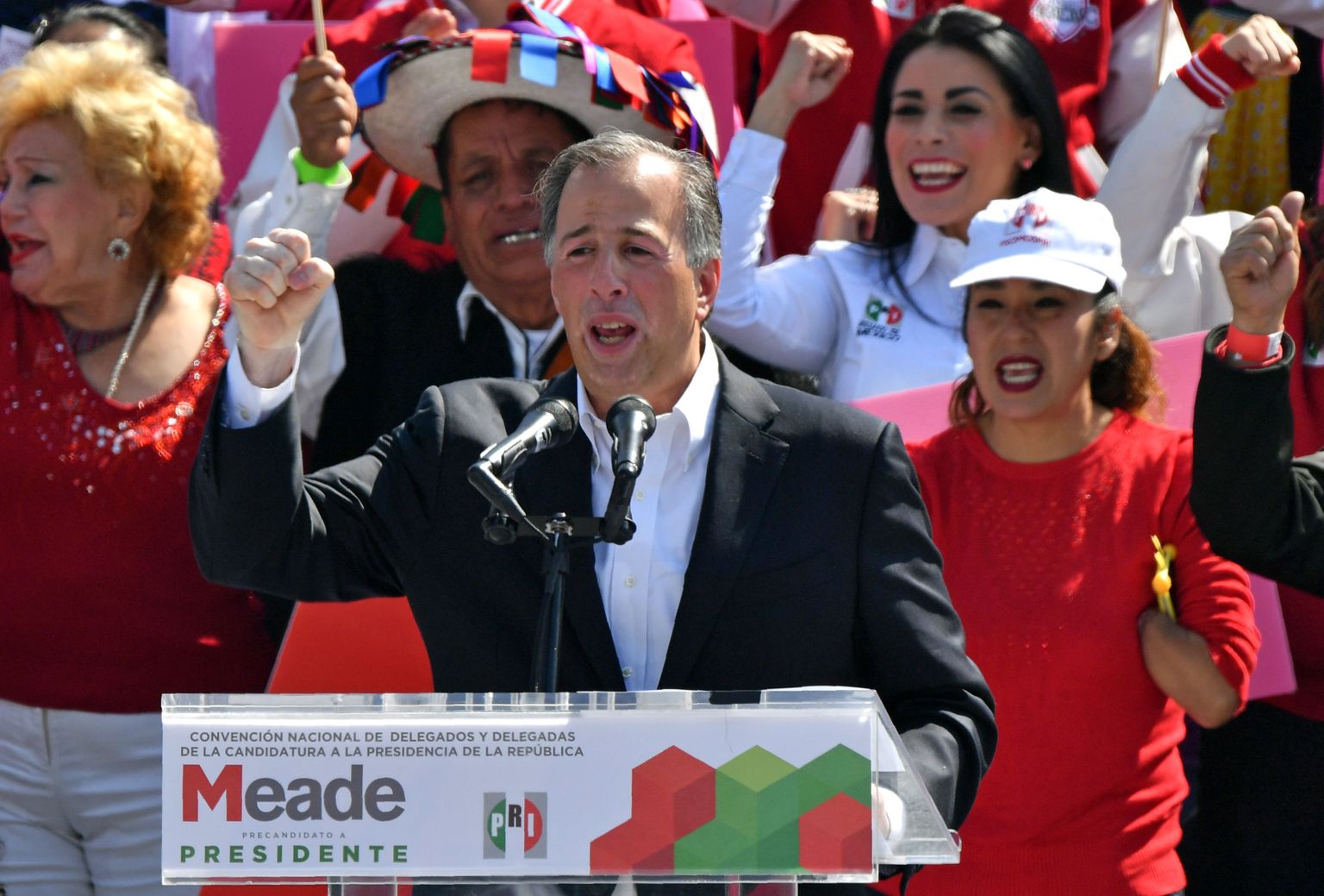 Mehhiko endine rahandusminister Jose Antonio Meade nõustus olema valitseva Institutsioonilise Revolutsioonipartei (PRI) presidendikandidaat ning pidas esimese ametliku kampaaniakõne.