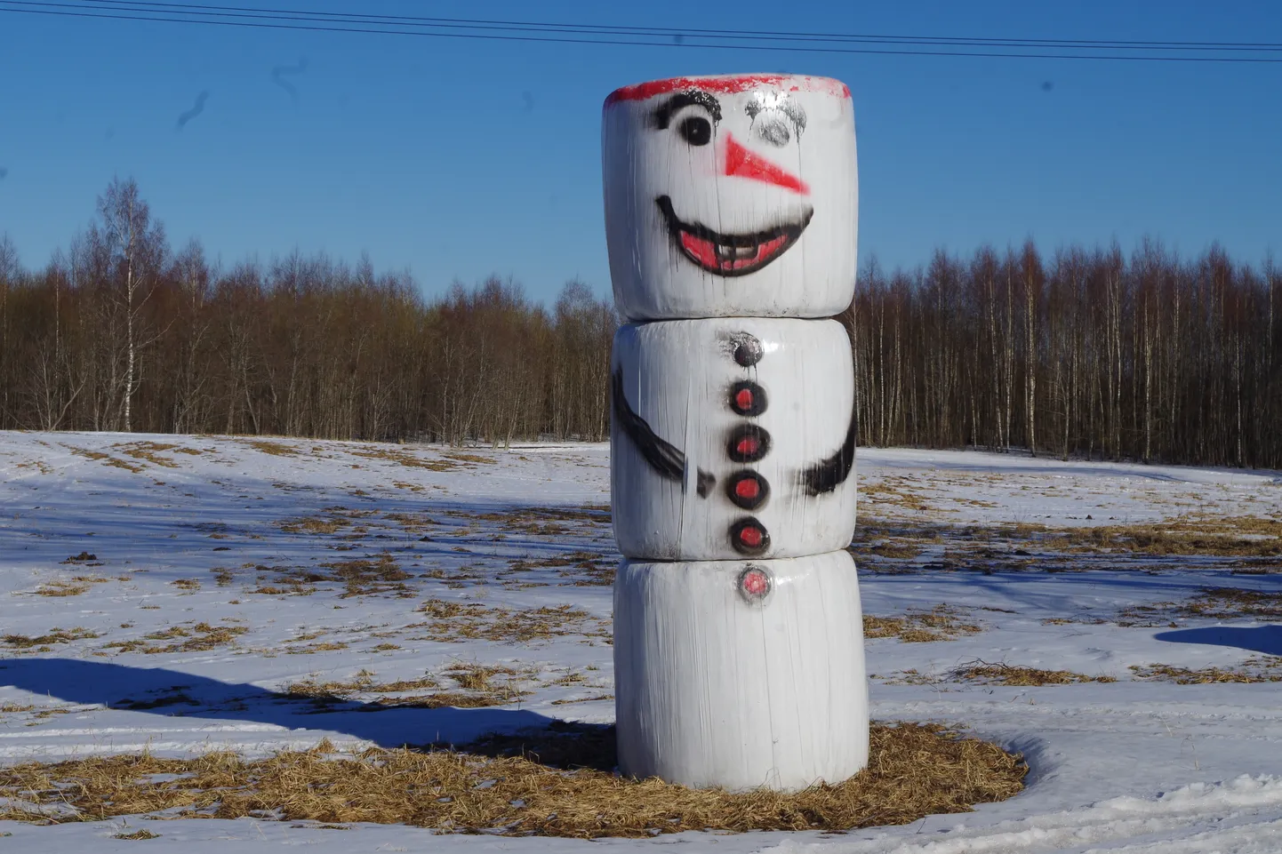 Silopallidest lumememm Vastseliina-Loosi tee ääres.