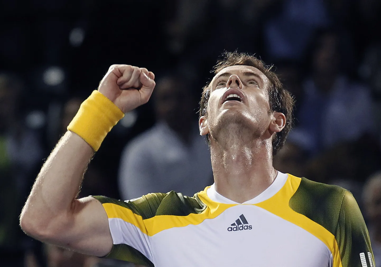 Andy Murray.