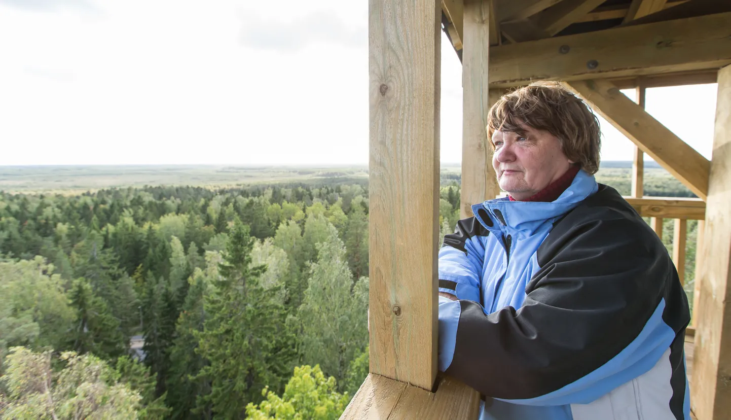 289456

"Kui Iisaku torni ronida, siis näeb, et metsa ikka on veel. VEEL on," ütleb Anne Nurgamaa. MATTI KÄMÄRÄ