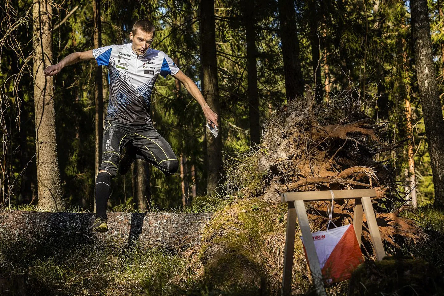 Pildil orienteeruja Lauri Sild.