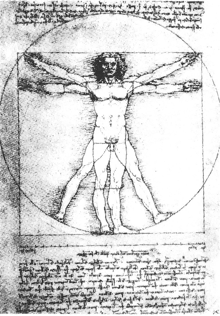 Leonardo da Vinci Vitruviuse mees, millel on kujutatud inimkeha proportsioone