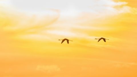 Kāds laiks gaidāms ceturtdien?