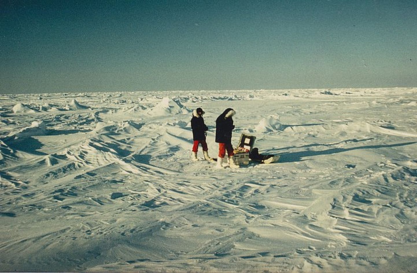 Arktikas kūstošie ledāji apdraud visu cilvēci