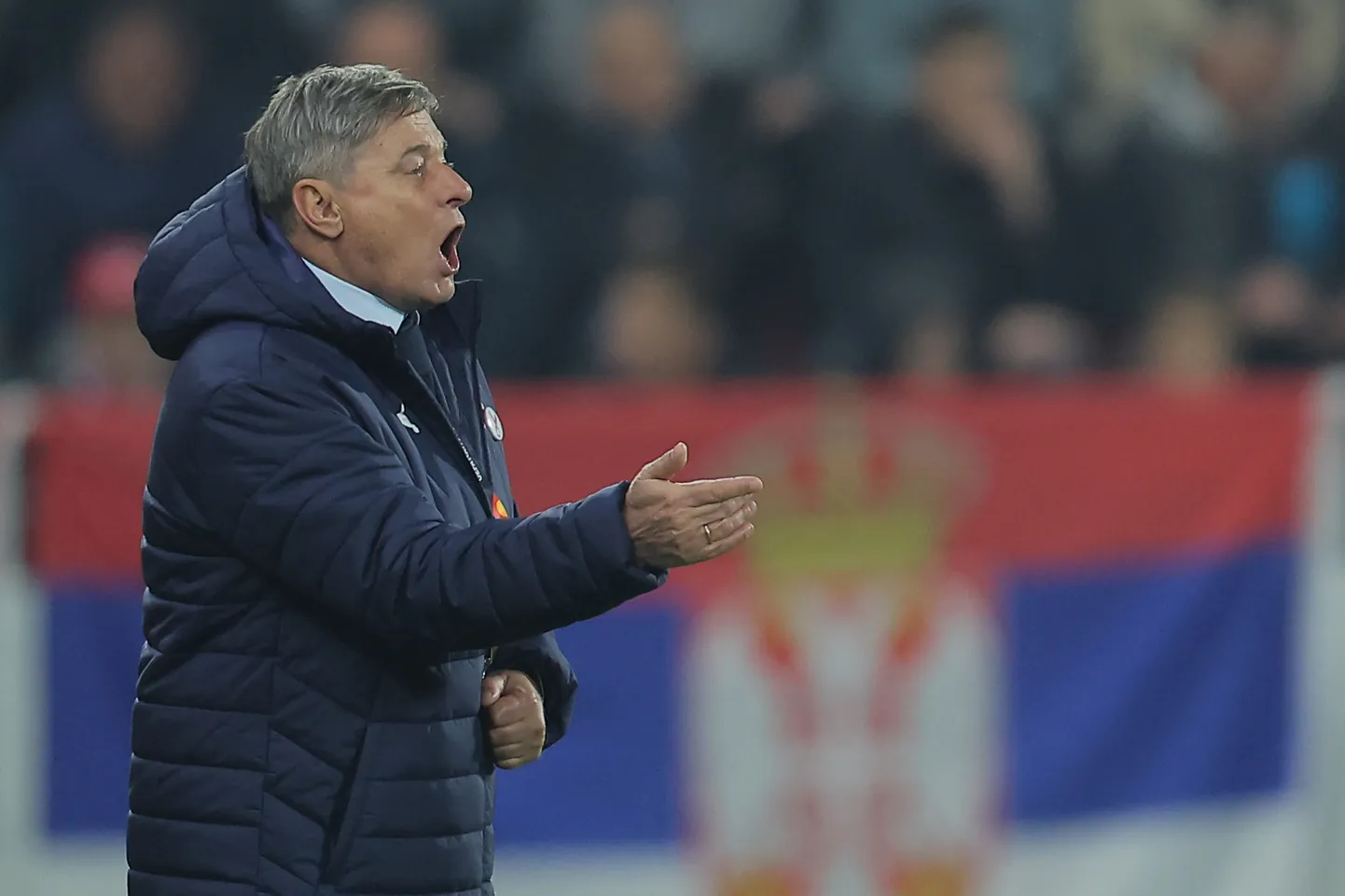 Serbia rahvuskoondise peatreener Dragan Stojkovic kohtumises Šveitsiga. Taustal Serbia lipp.
