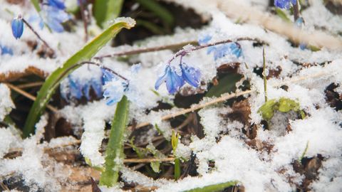 Lähipäevil on oodata lörtsisadu