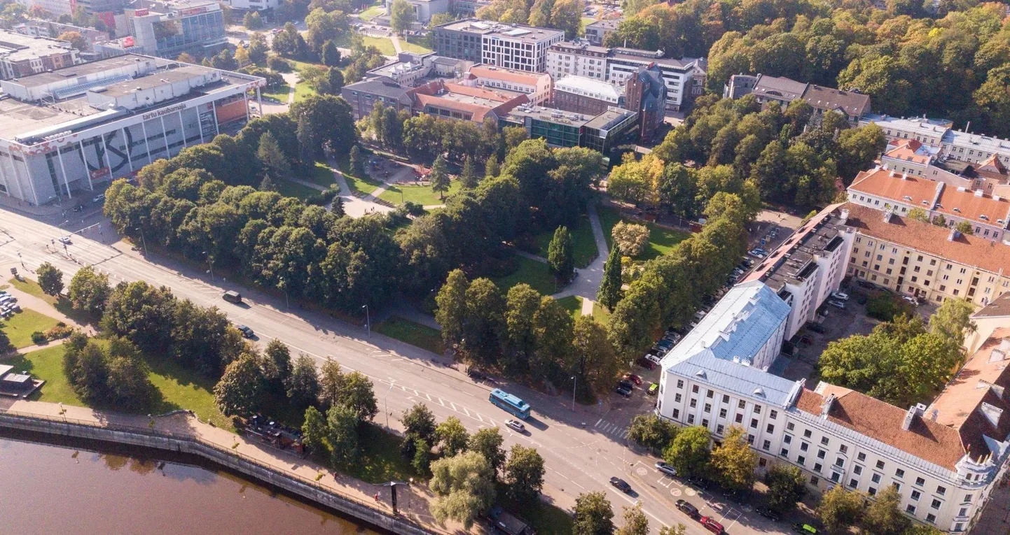 Mitteametlikult Süku nime kandev hoone planeeritakse kesklinna parki.