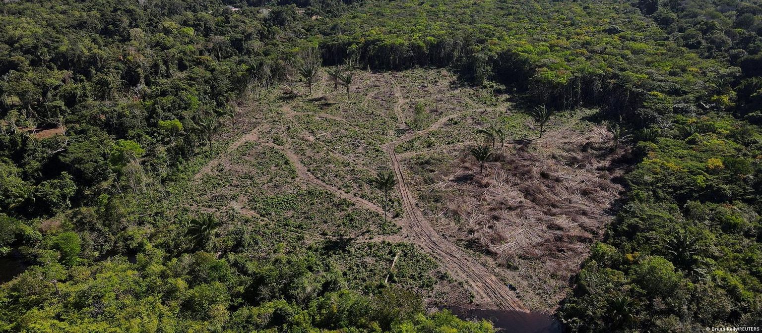 Вырубленные площади леса в Бразилии
