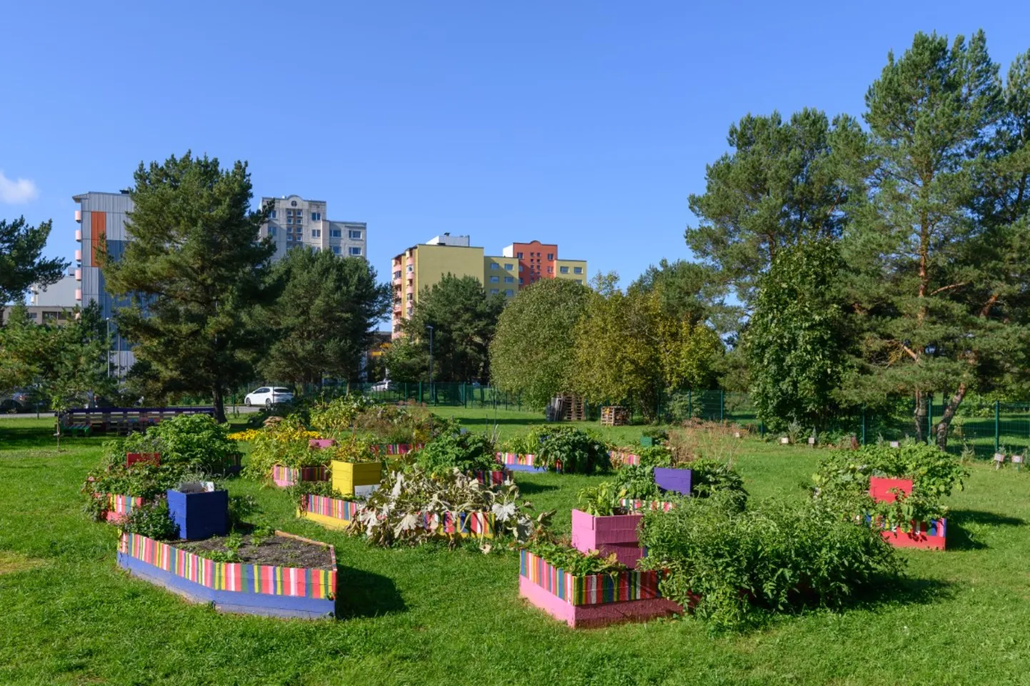 Фото статьи