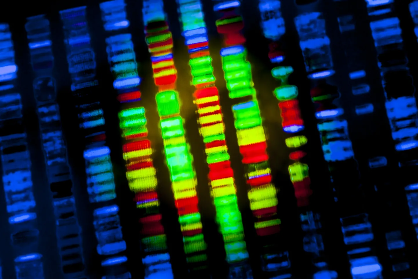 Pildil DNA jada.
