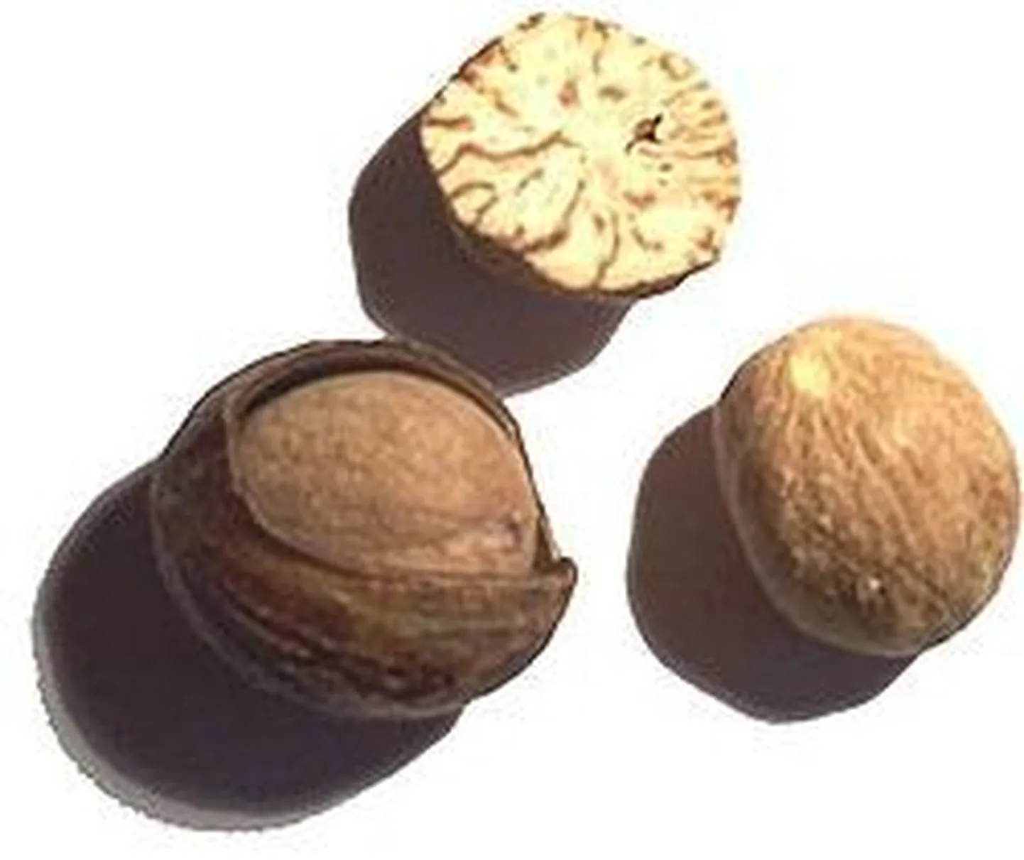 Muskaatpähkel