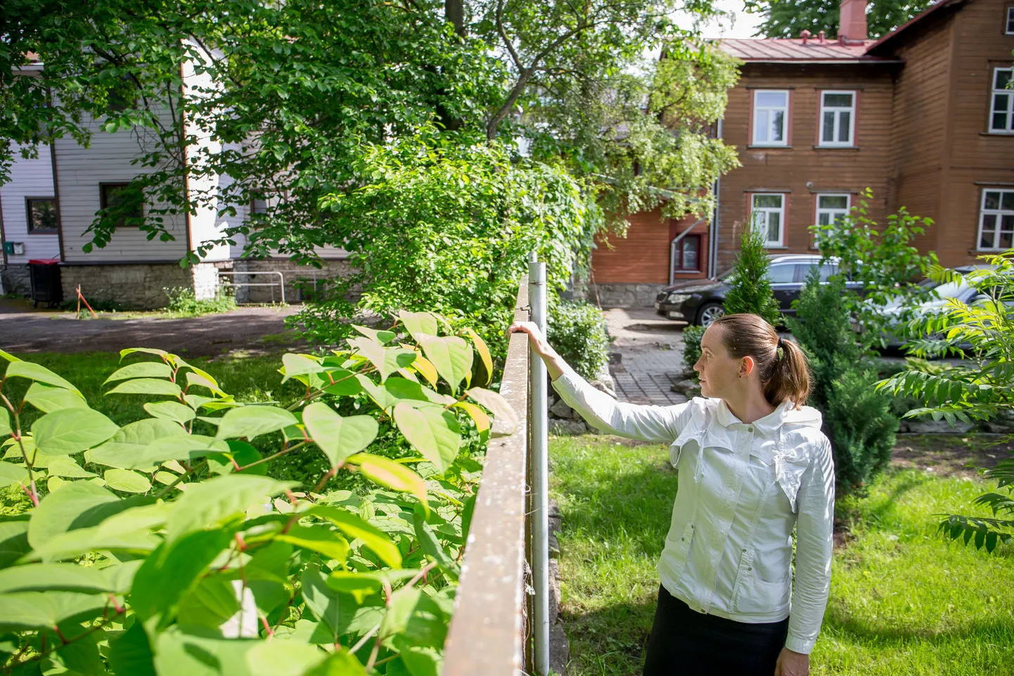 Kadri Kadaku seni turvalist koduõue eraldab tulevasest süstlavahetuspunktist võrkaed.