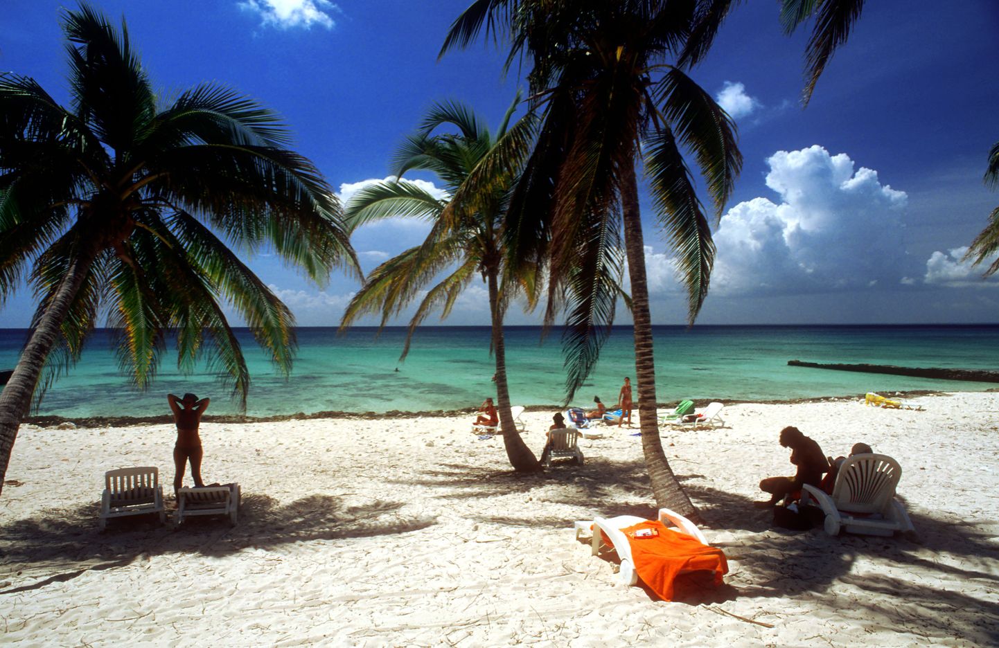 Valge liiv ja kookospalmid Maria la Gorda rannas Kuubal.