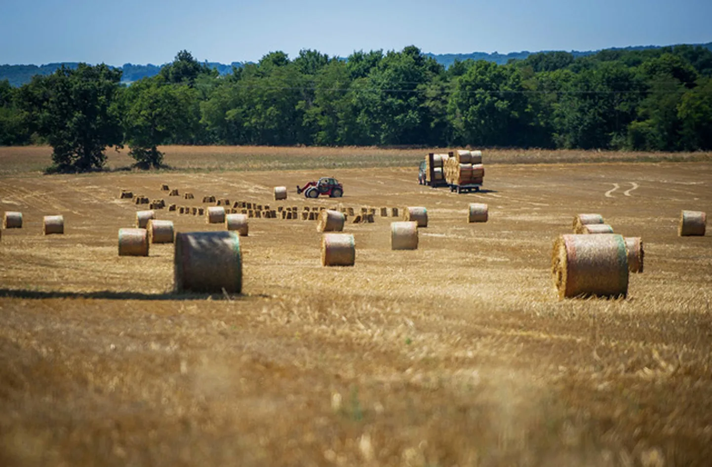 Raksta foto