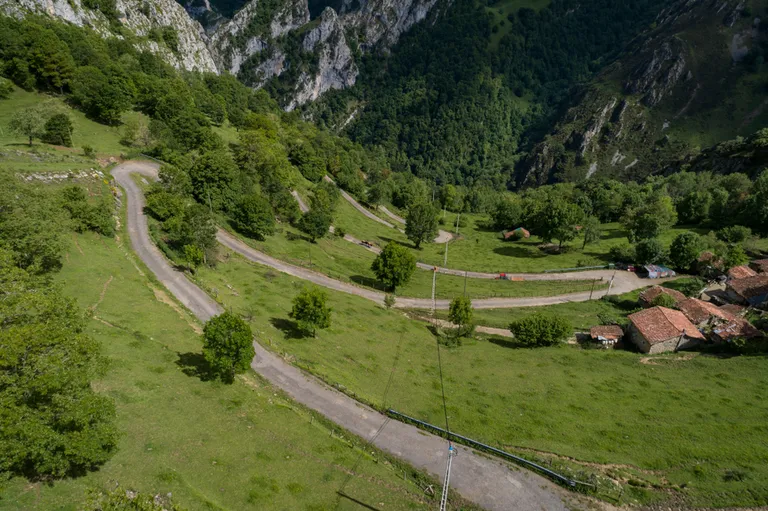 Ponga, Hispaania