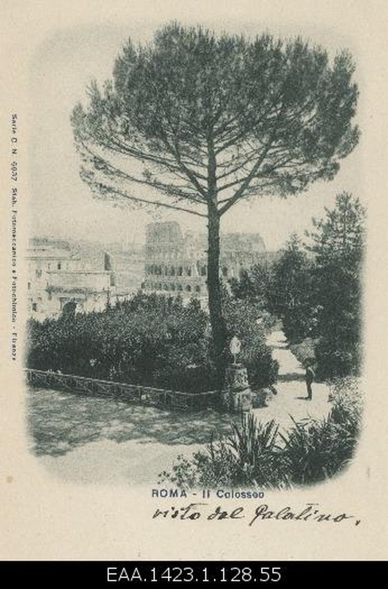Vaade Colosseumile Palatinuselt, fotopostkaart 1900