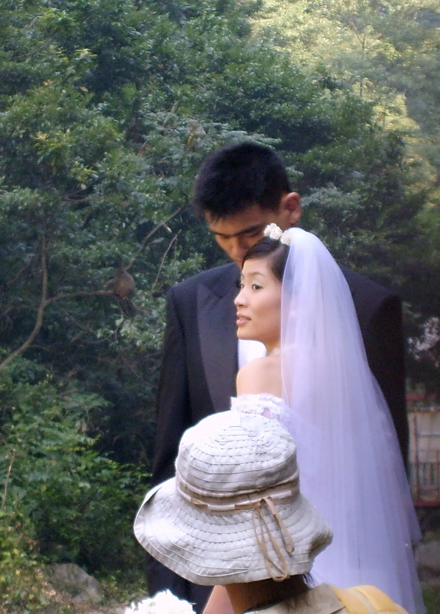 Yao Ming ja Ye Li