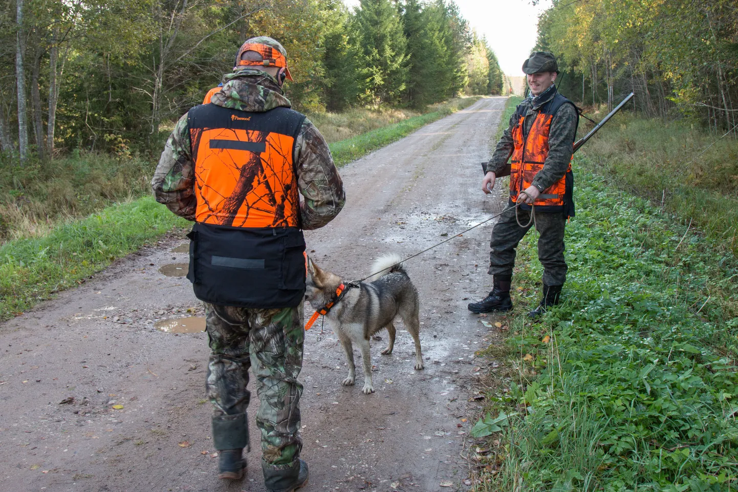 Põdrajaht