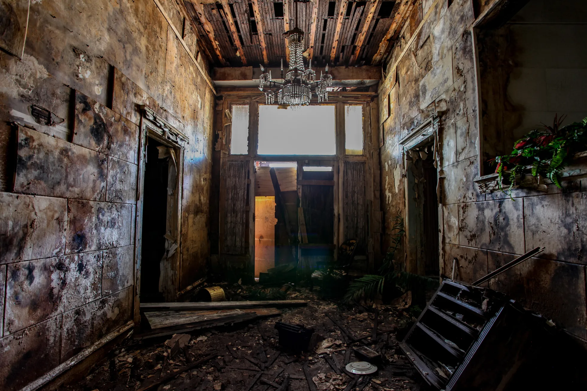 Фото статьи