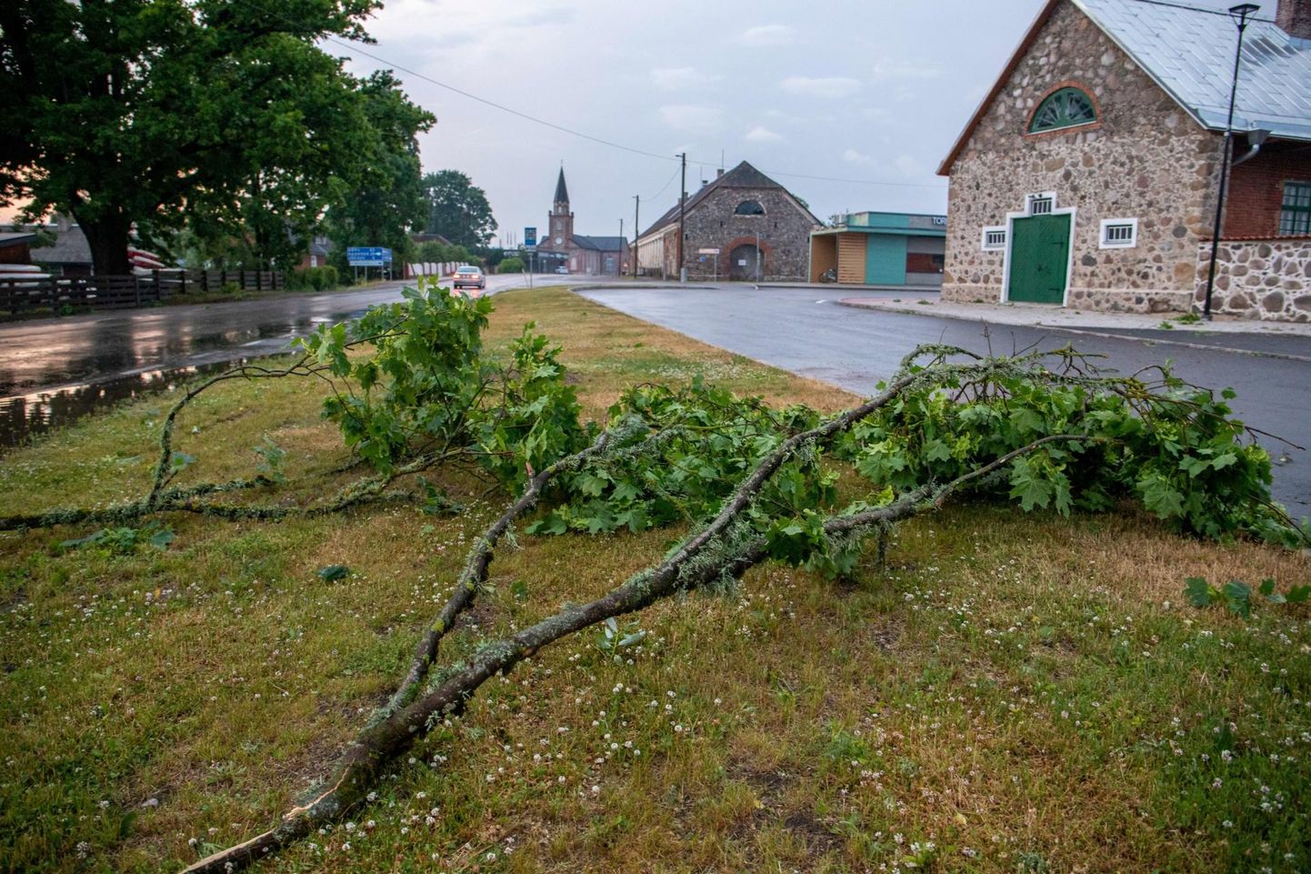 Viimati oli Toris suurem torm ligemale kuu tagasi, mil tugevale tuulele jäi alla sadakond puud.