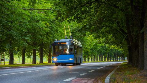С 1 ноября троллейбусное движение будет временно заменено автобусным