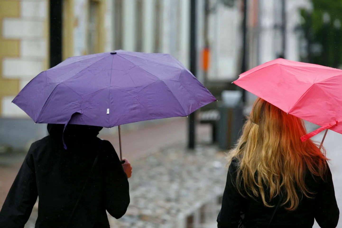 Keskkonnaagentuuri ilmateenistus ennustab neljapäevaks vihma.