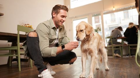 NALJA NABANI ⟩ Lõunasöögist sõpradega sai internetisensatsioon: ootamatu mööduja naerutab tuhandeid