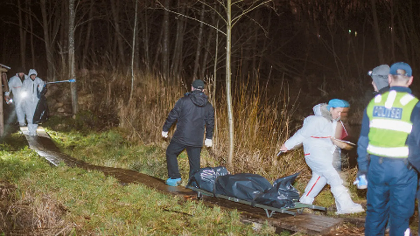 Politsei ja eksperdid tegid möödunud aasta 9. detsembril Darja surnukeha leidmise paigas − Pähklimäe terviseraja läheduses − põhjalikku tööd. Uurijad jõudsid järeldusele, et tüdruk oli sinna läinud mitu päeva varem vabatahtlikult ning tundis oletatavat tapjat.