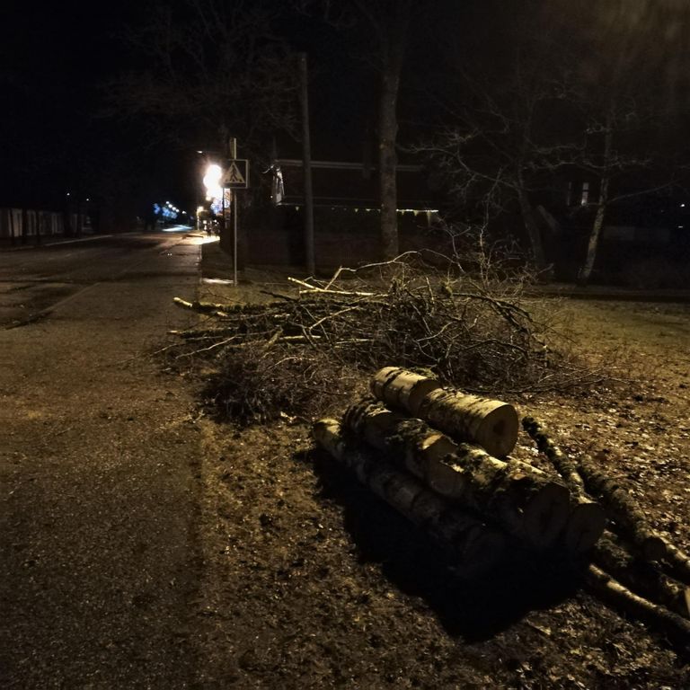 Sindis Pärnu maanteel teele langenud puu oli kella 22ks teelt eemaldatud.