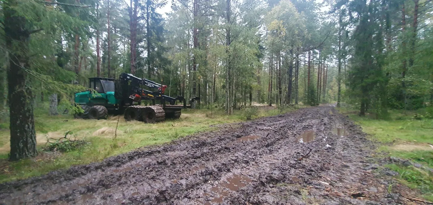Metsaraie. Mudased rööpad Vergi lähistel ulatuvad liiva-savikihini.