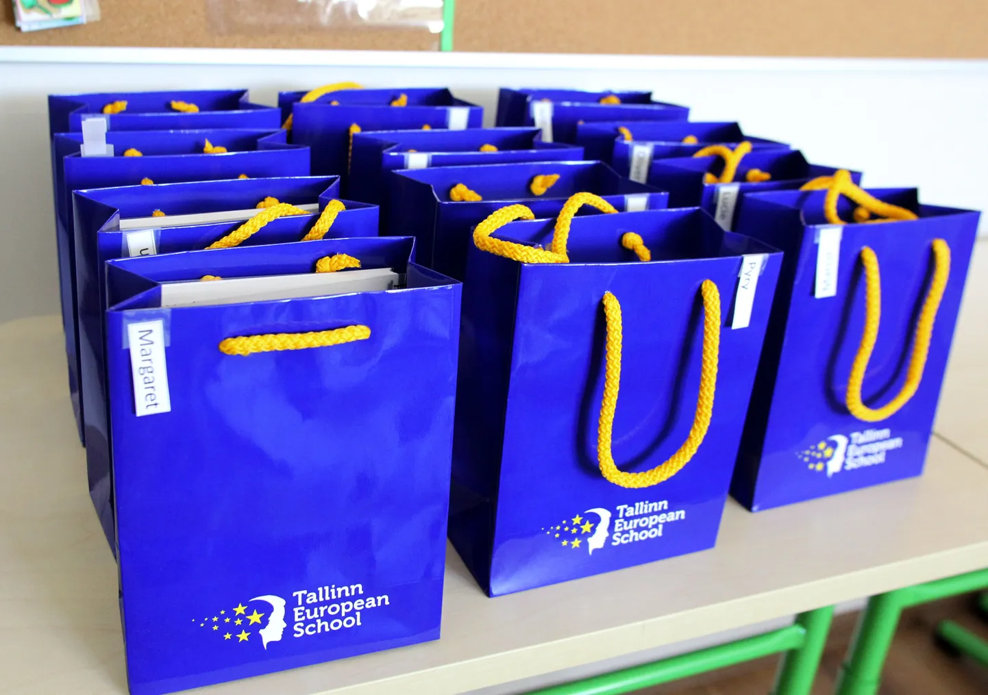 Tallinna Euroopa Kool avati 2013. aastal