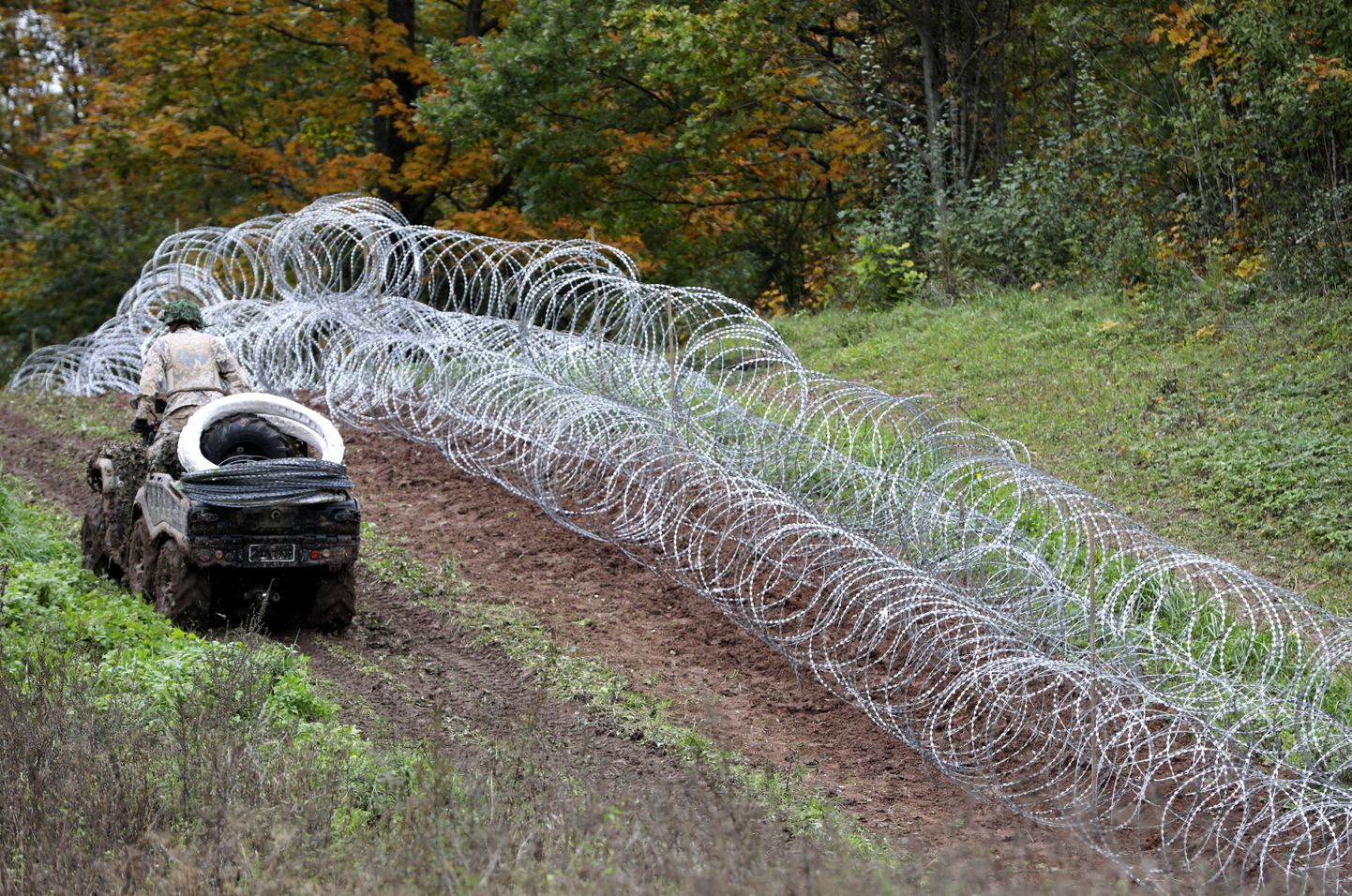 Временный забор на границе с Беларусью